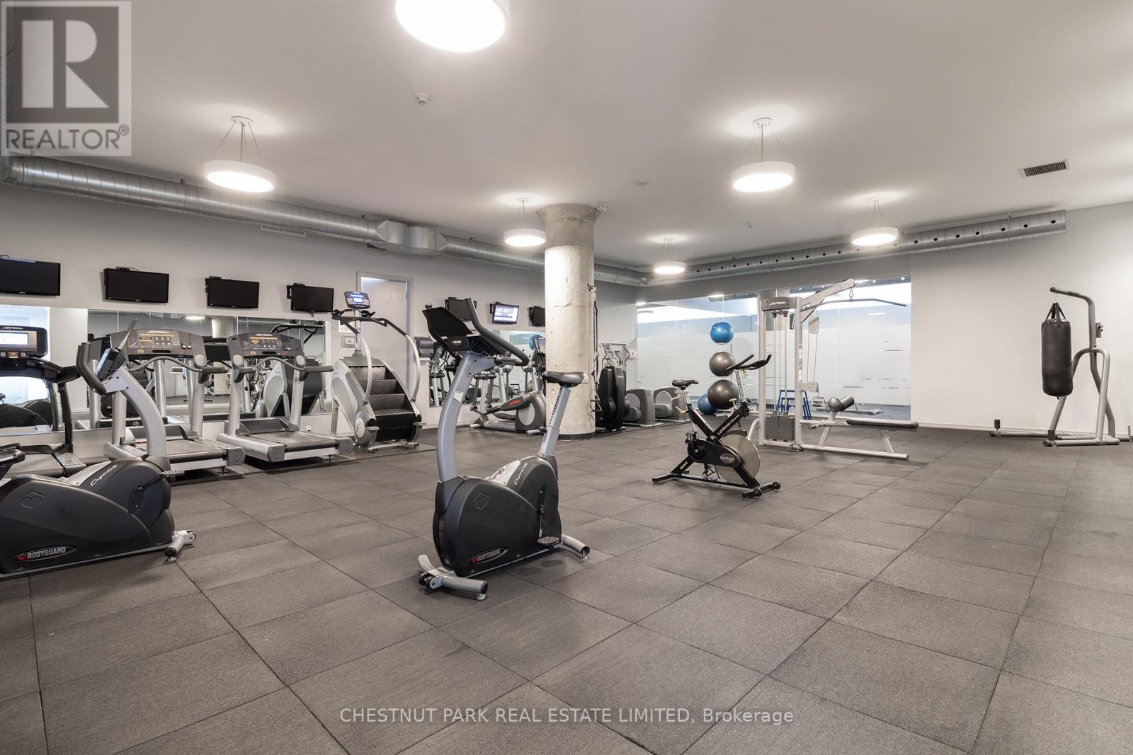 215 - 637 Lakeshore Boulevard W, Toronto, Ontario  M5V 3J6 - Photo 29 - C12439291