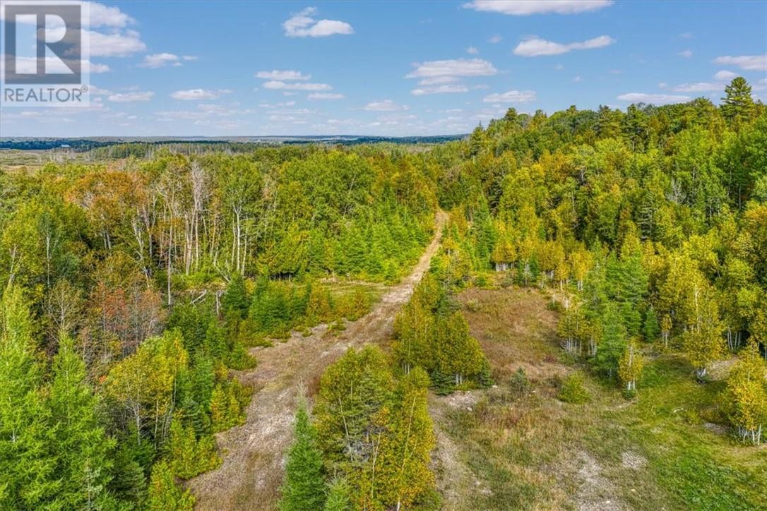 L11 C7 Concession Road 6 W, Tehkummah, Ontario  P0P 2C0 - Photo 10 - 2124985