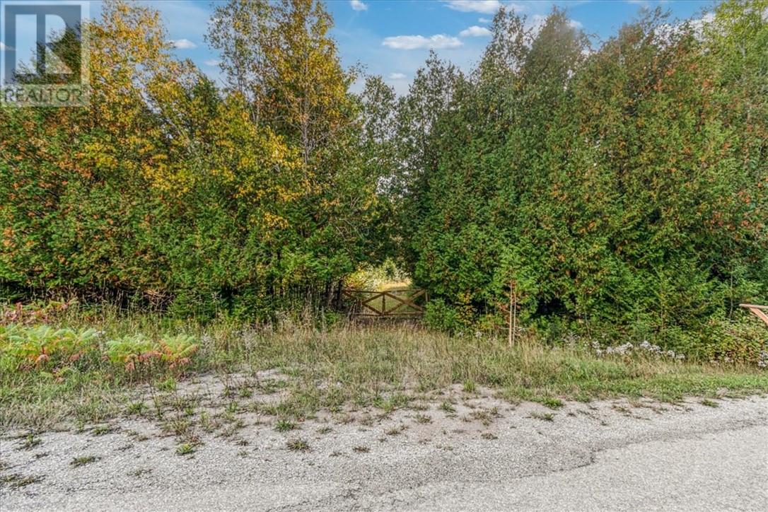 L11 C7 Concession Road 6 W, Tehkummah, Ontario  P0P 2C0 - Photo 2 - 2124985