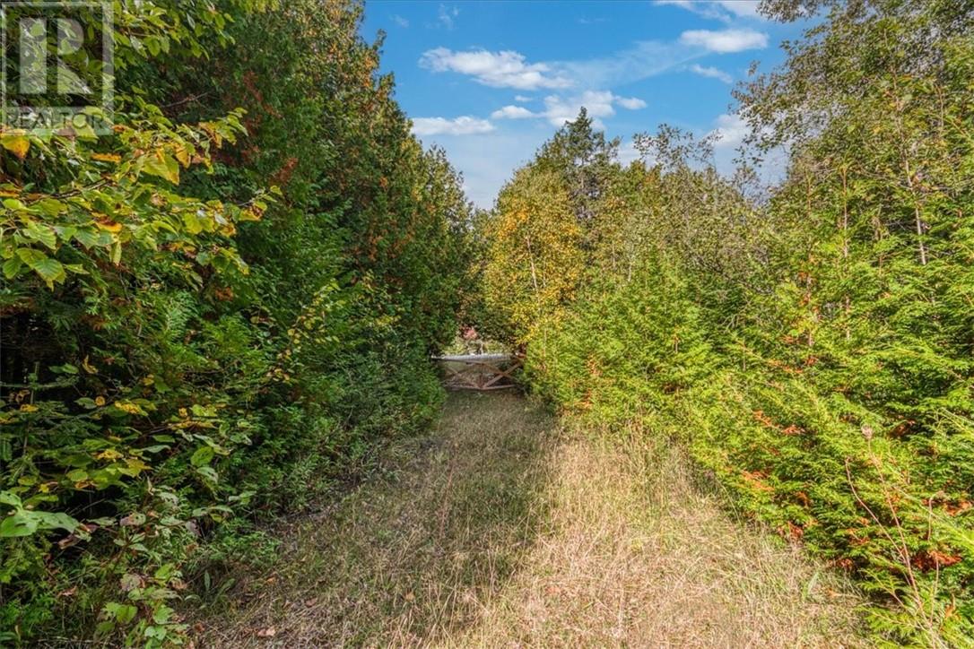 L11 C7 Concession Road 6 W, Tehkummah, Ontario  P0P 2C0 - Photo 4 - 2124985