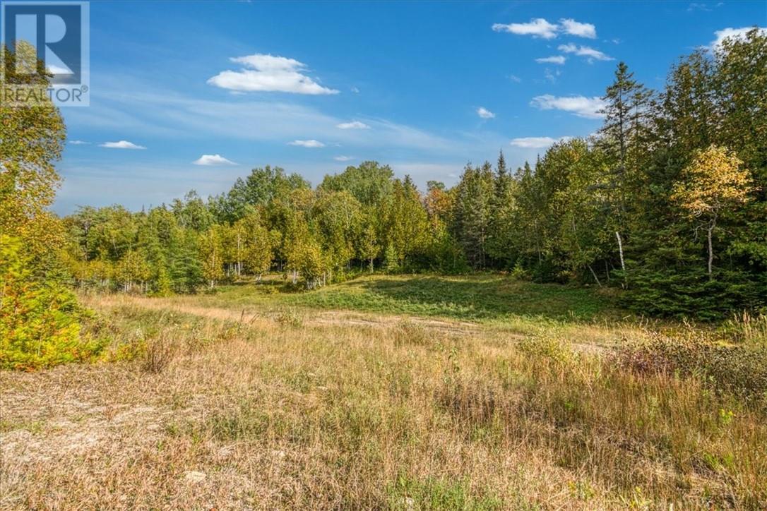L11 C7 Concession Road 6 W, Tehkummah, Ontario  P0P 2C0 - Photo 5 - 2124985