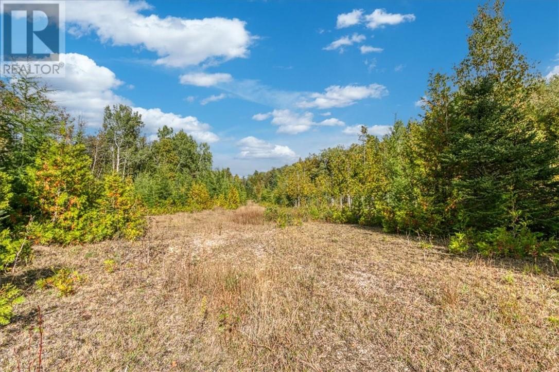 L11 C7 Concession Road 6 W, Tehkummah, Ontario  P0P 2C0 - Photo 6 - 2124985