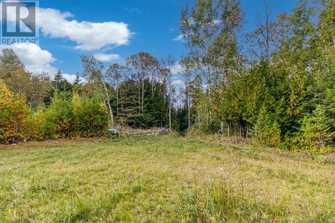 L11 C7 Concession Road 6 W, Tehkummah, Ontario  P0P 2C0 - Photo 7 - 2124985