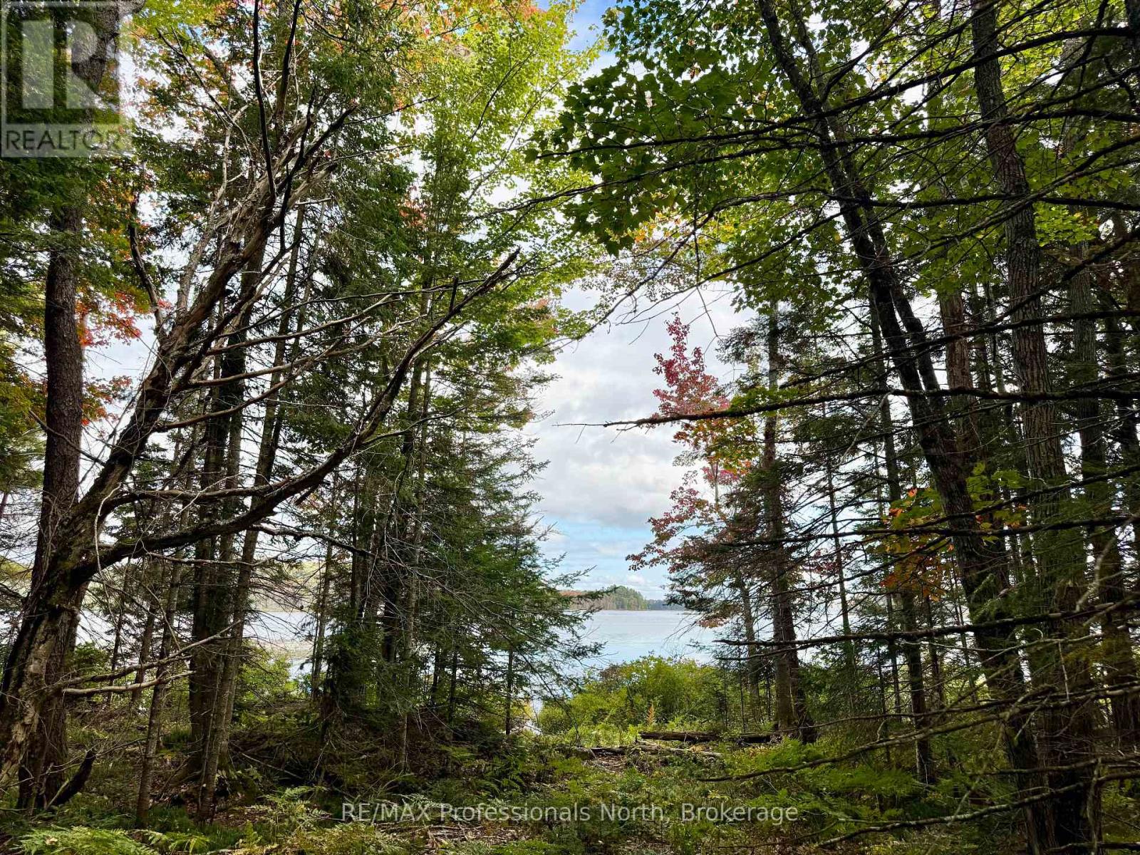 Lot 9 Axe Lake Road, Mcmurrich/monteith, Ontario  P0B 1M0 - Photo 3 - X12439449
