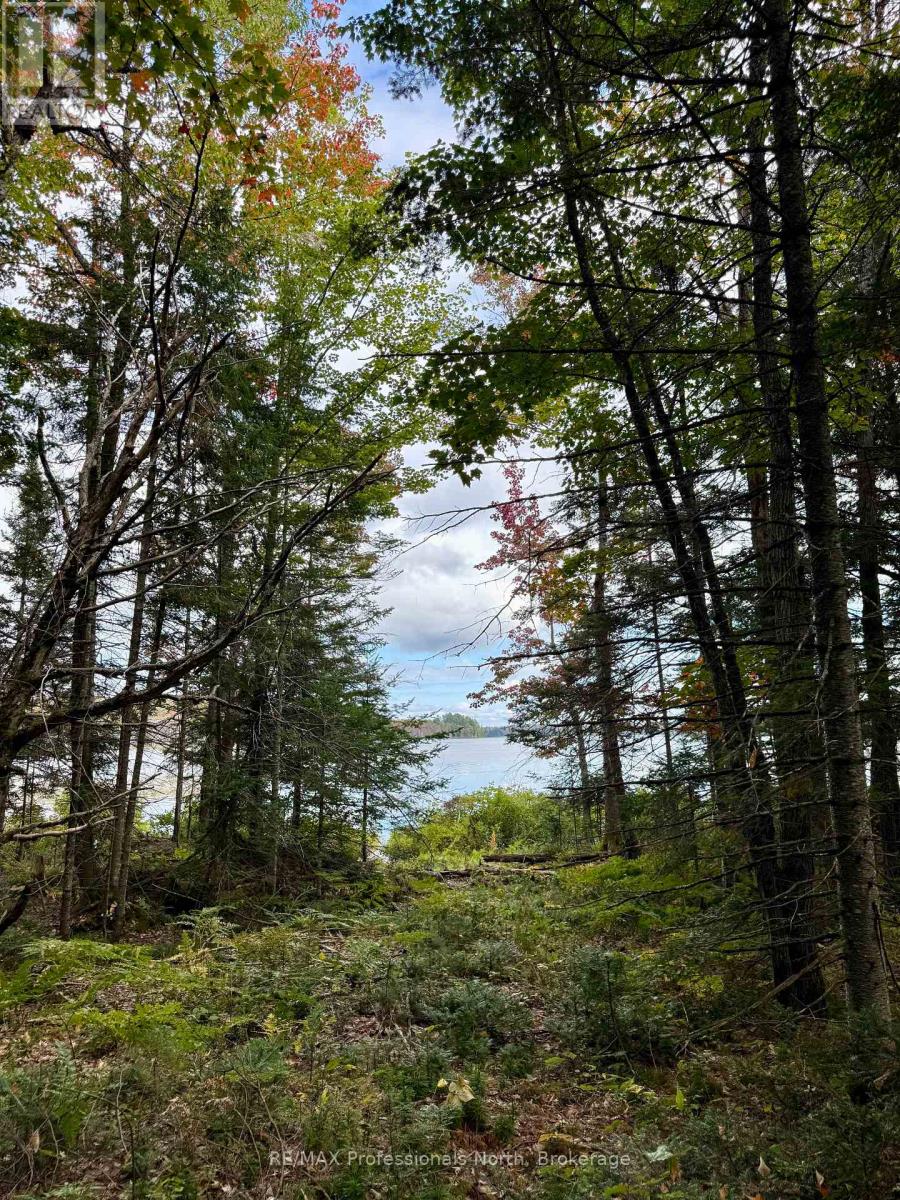 Lot 9 Axe Lake Road, Mcmurrich/monteith, Ontario  P0B 1M0 - Photo 6 - X12439449