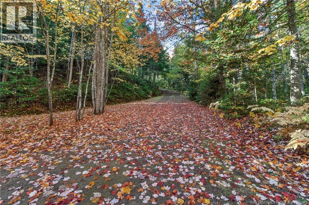 Cottages + Lot Rte 515, Sainte-Marie-De-Kent, New Brunswick  E4S 2G4 - Photo 30 - NB127794