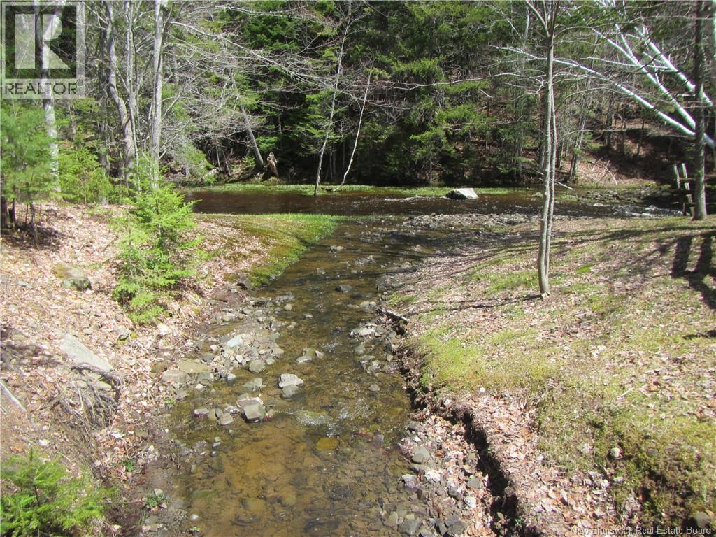 Cottages + Lot Rte 515, Sainte-Marie-De-Kent, New Brunswick  E4S 2G4 - Photo 35 - NB127794