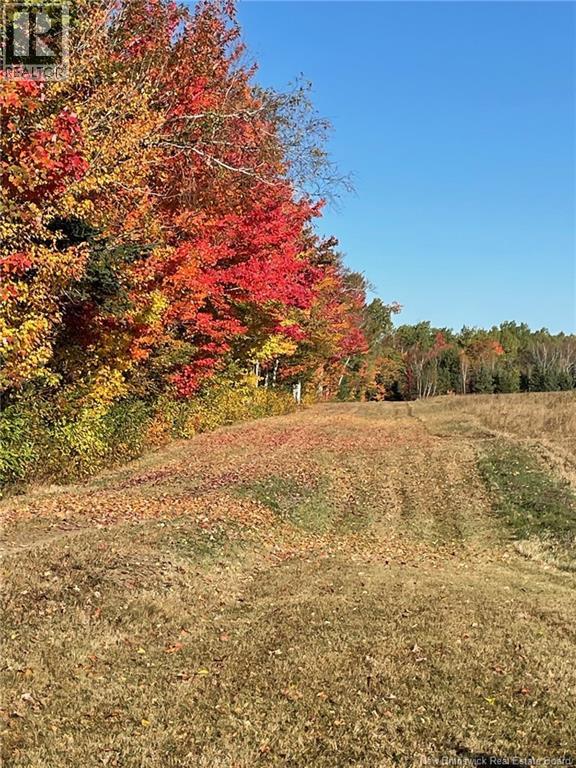Cottages + Lot Rte 515, Sainte-Marie-De-Kent, New Brunswick  E4S 2G4 - Photo 37 - NB127794