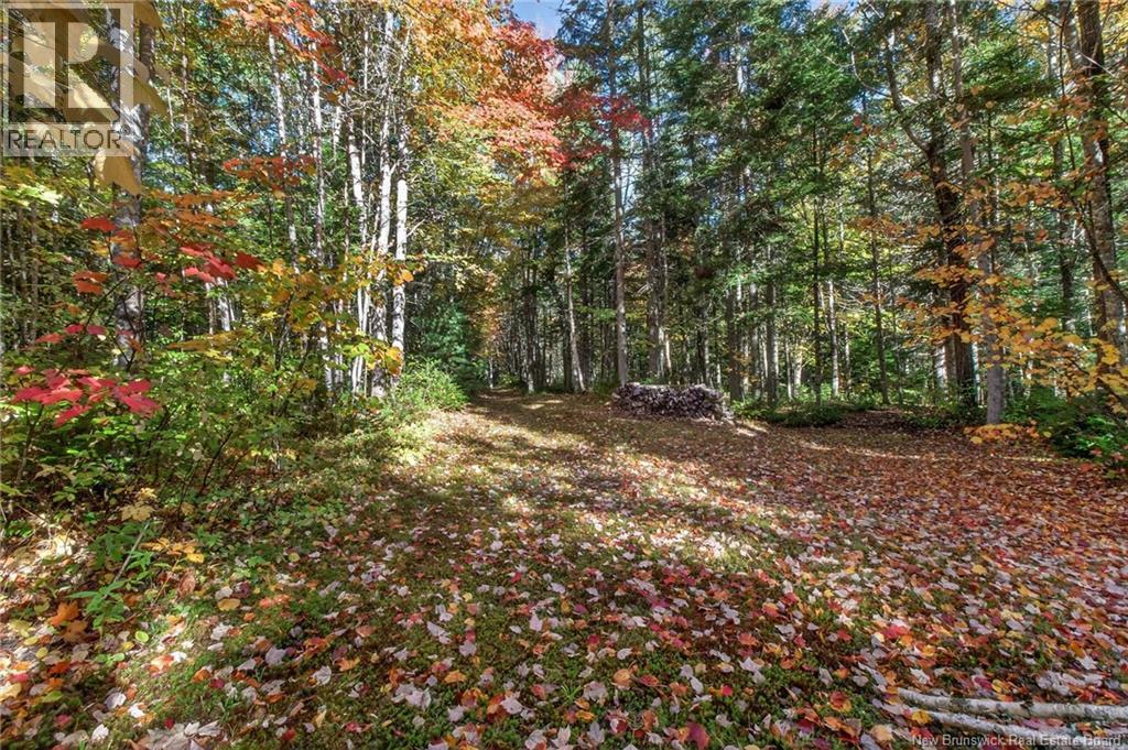 Cottages + Lot Rte 515, Sainte-Marie-De-Kent, New Brunswick  E4S 2G4 - Photo 43 - NB127794