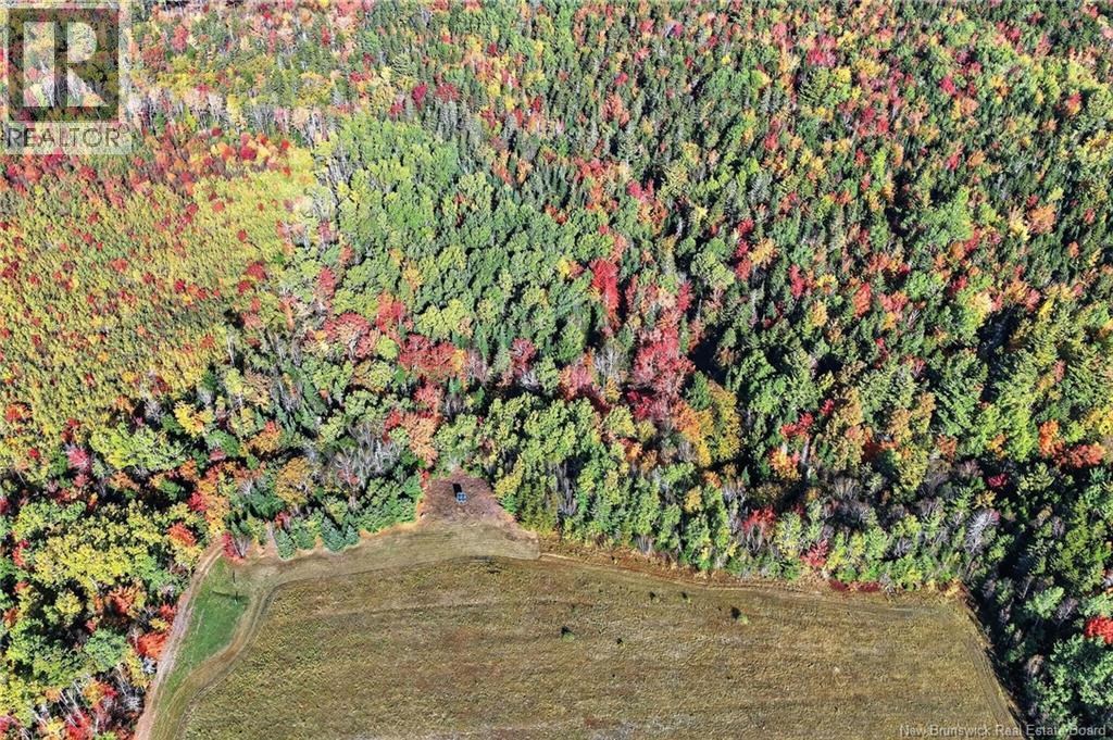 Cottages + Lot Rte 515, Sainte-Marie-De-Kent, New Brunswick  E4S 2G4 - Photo 44 - NB127794