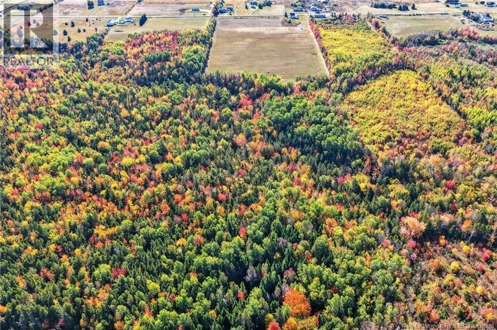 Cottages + Lot Rte 515, Sainte-Marie-De-Kent, New Brunswick  E4S 2G4 - Photo 46 - NB127794