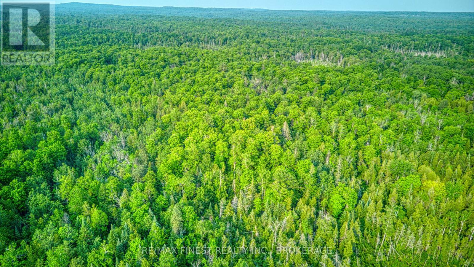 E 1/2 Lot 22 Concession 9 Palmerston, North Frontenac, Ontario  K0H 2J0 - Photo 15 - X12439530
