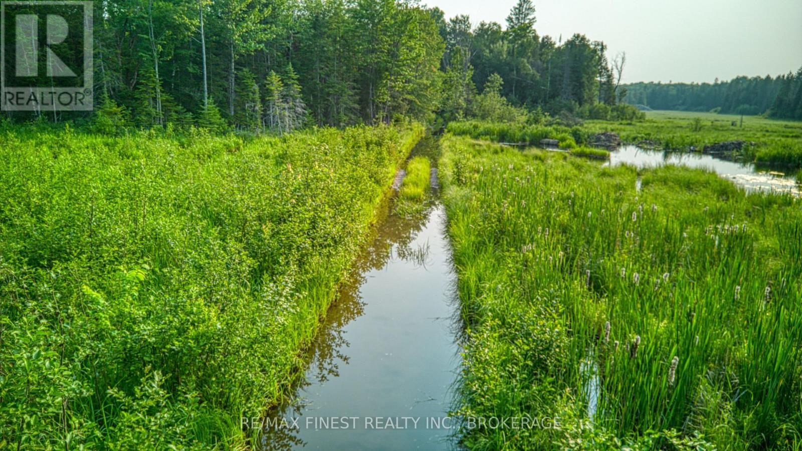 E 1/2 Lot 22 Concession 9 Palmerston, North Frontenac, Ontario  K0H 2J0 - Photo 9 - X12439530