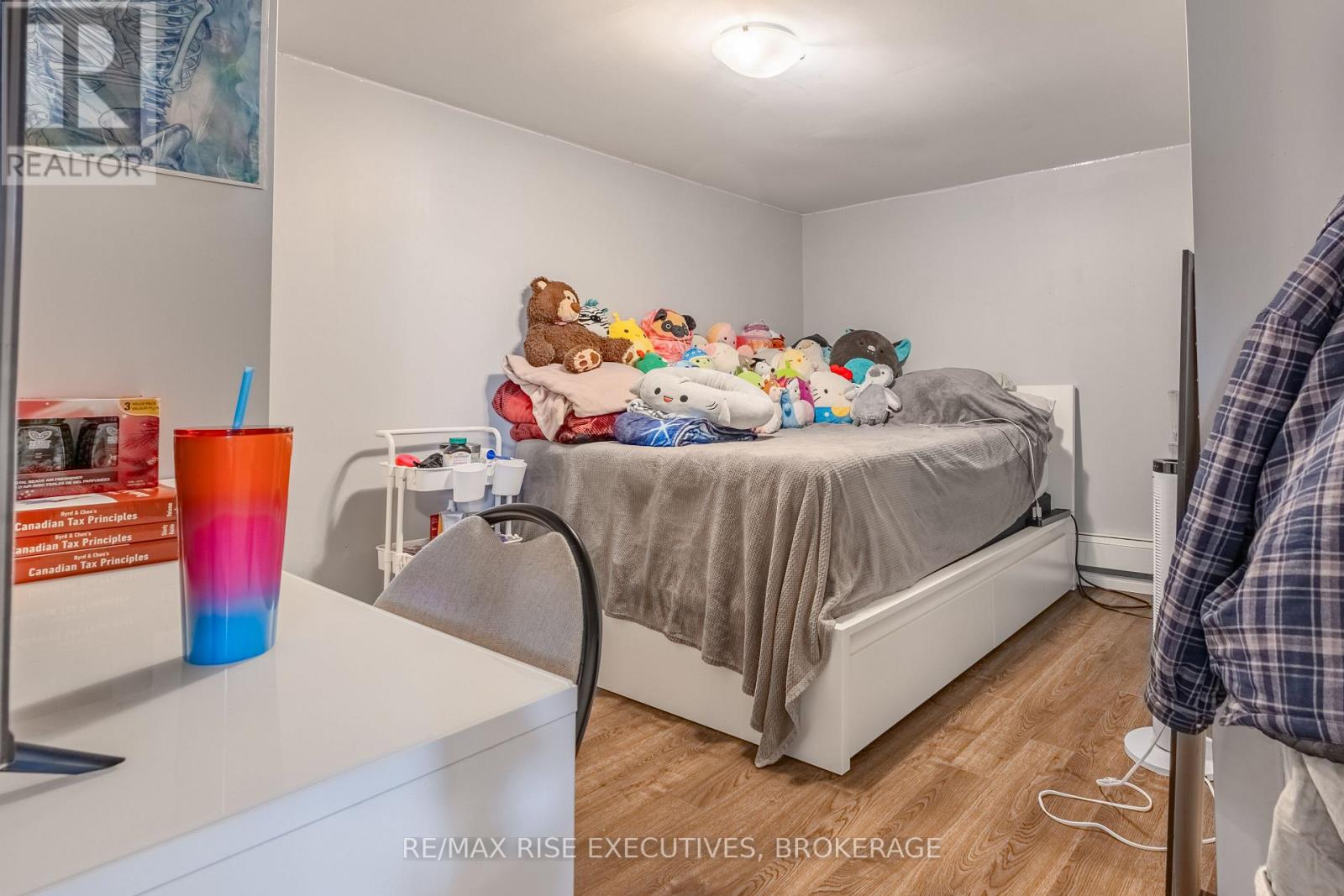 20 Elizabeth Avenue, Kingston, Ontario  K7M 3G8 - Photo 24 - X12439569