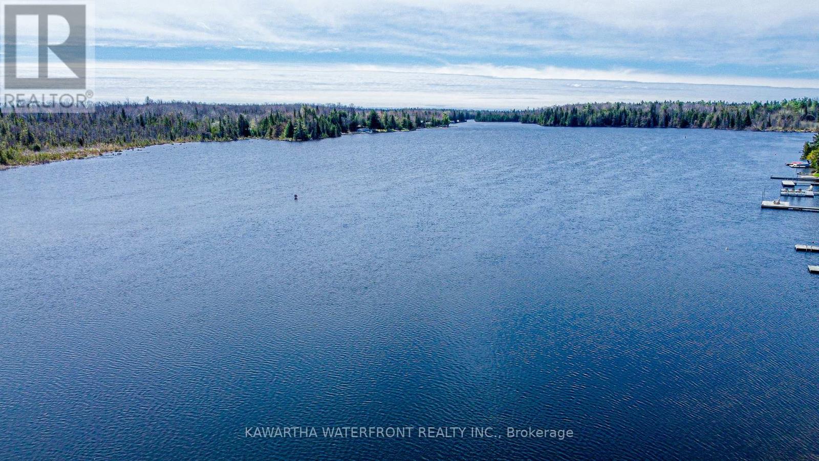 47 North Water Street, Kawartha Lakes, Ontario  K0M 1K0 - Photo 8 - X12439587