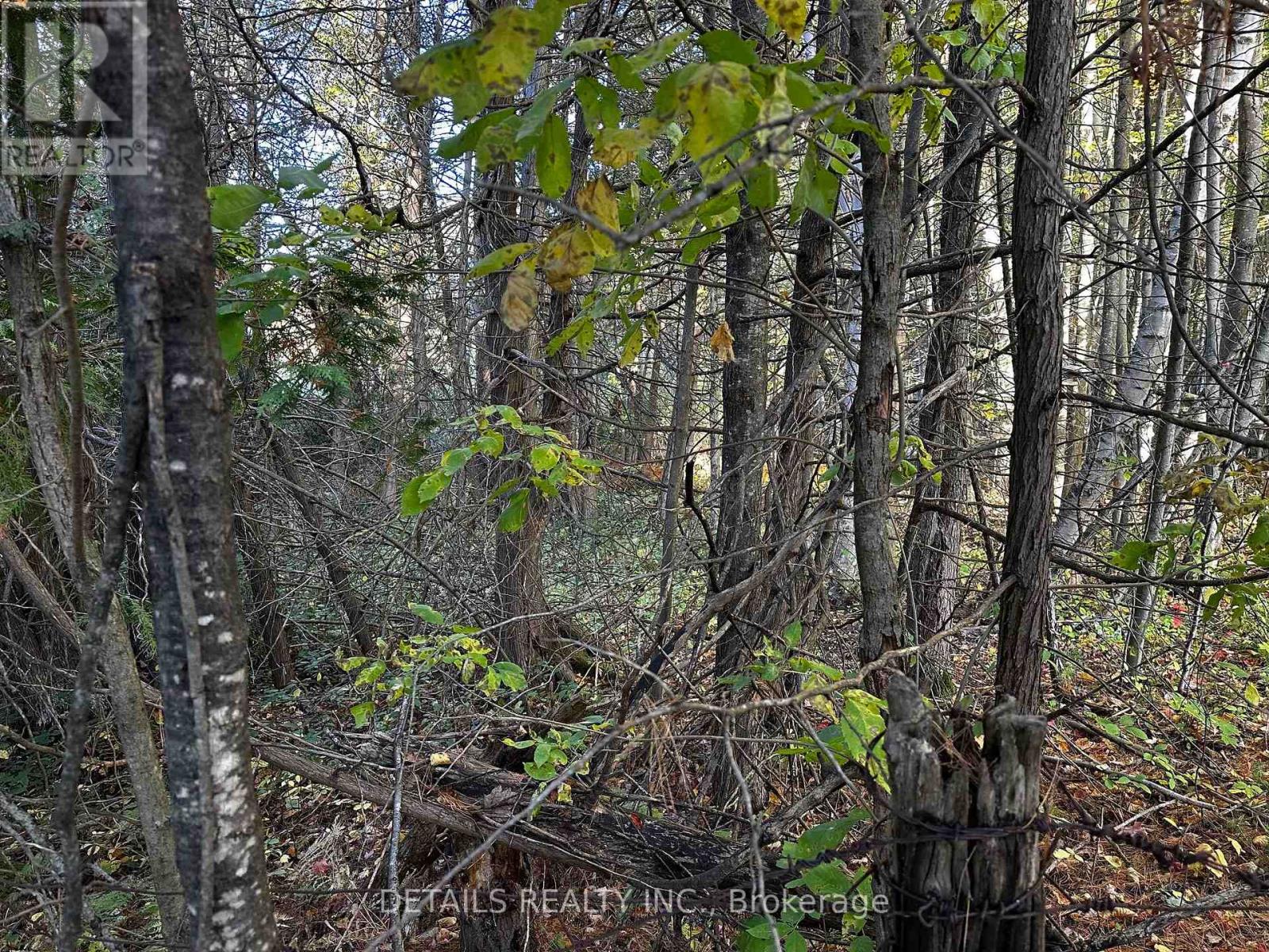 515 Vances Side Road N, Ottawa, Ontario  K0A 1T0 - Photo 3 - X12439651