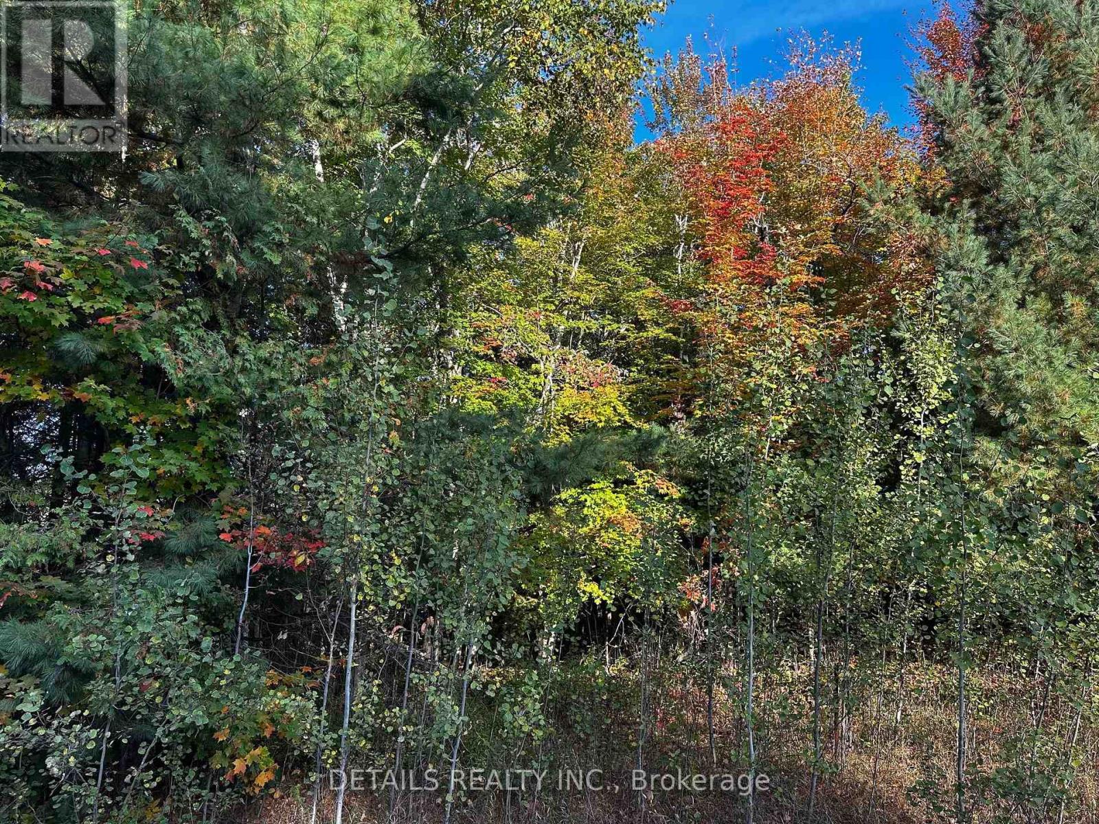 515 Vances Side Road N, Ottawa, Ontario  K0A 1T0 - Photo 5 - X12439651