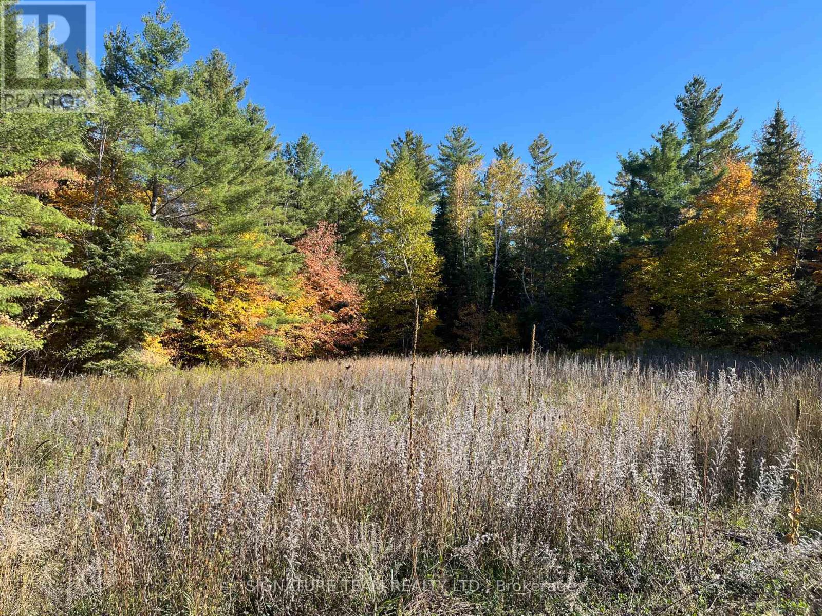 0 Minnie Road, Bonnechere Valley, Ontario  K0J 1T0 - Photo 10 - X12439559