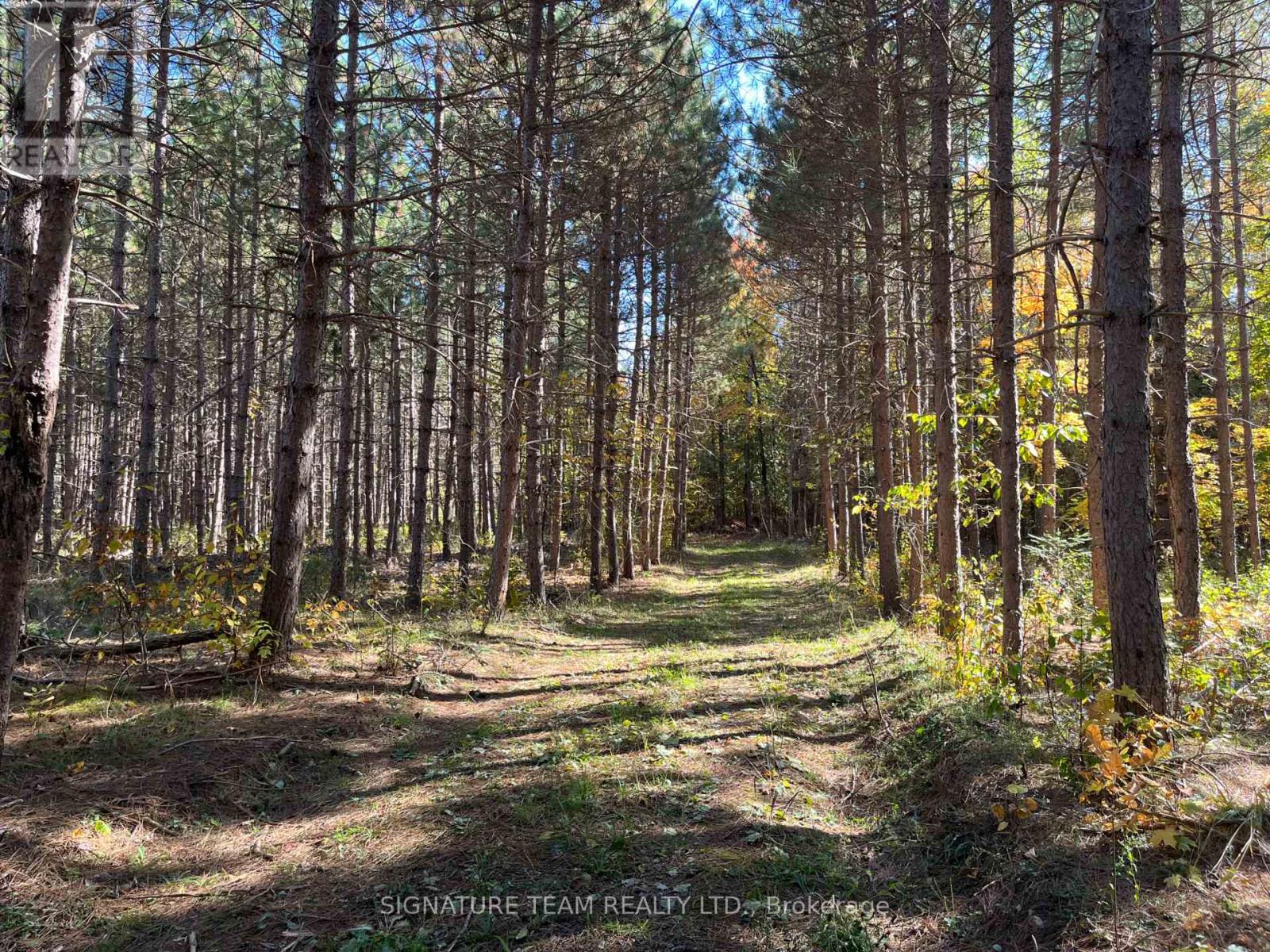 0 Minnie Road, Bonnechere Valley, Ontario  K0J 1T0 - Photo 11 - X12439559