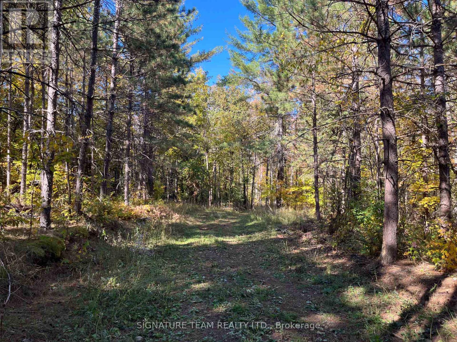 0 Minnie Road, Bonnechere Valley, Ontario  K0J 1T0 - Photo 12 - X12439559