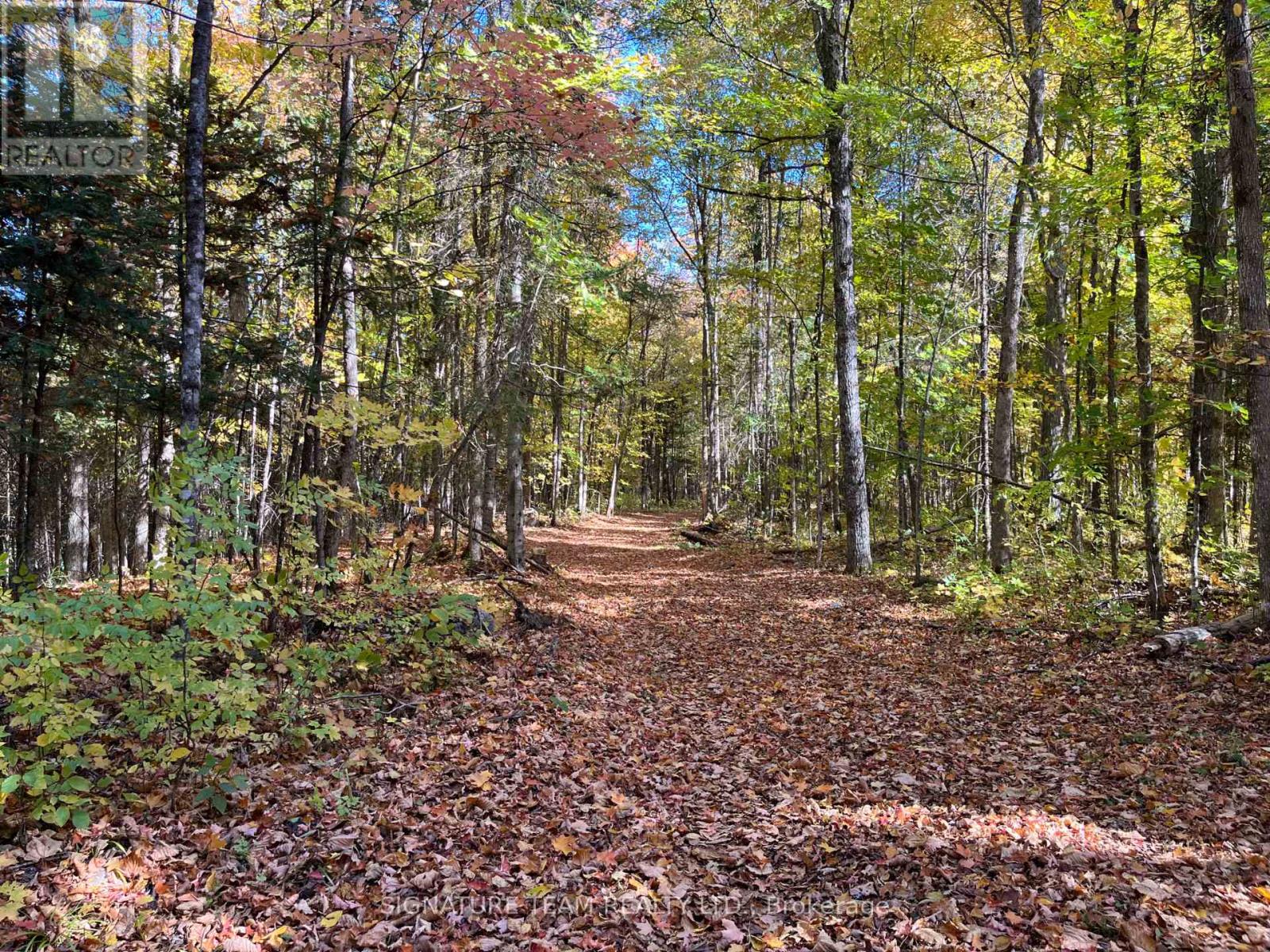 0 Minnie Road, Bonnechere Valley, Ontario  K0J 1T0 - Photo 13 - X12439559