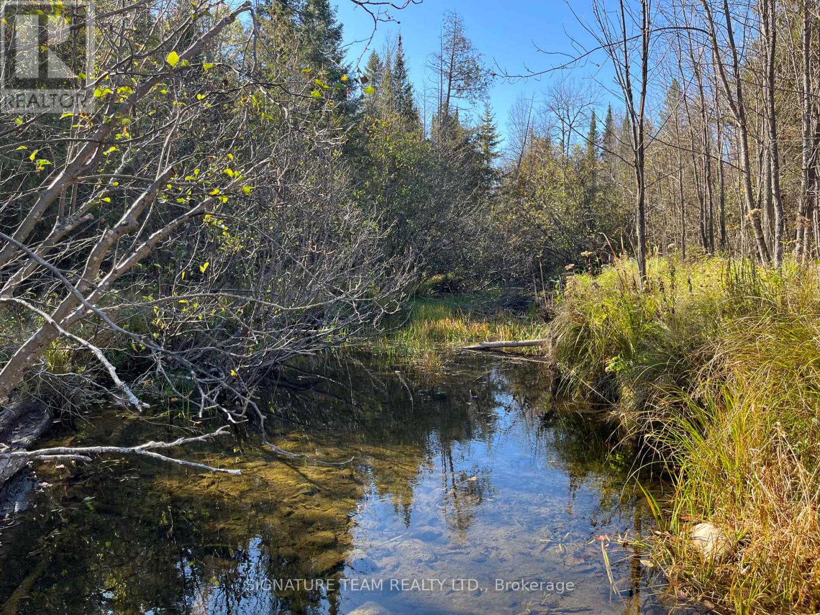 0 Minnie Road, Bonnechere Valley, Ontario  K0J 1T0 - Photo 14 - X12439559
