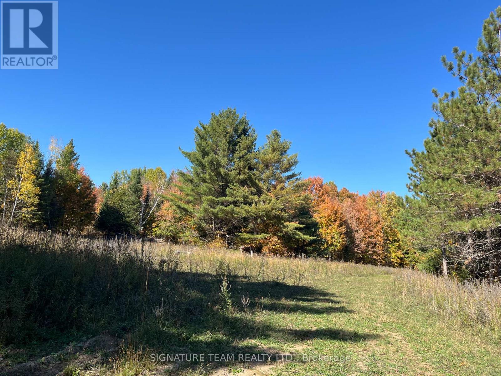 0 Minnie Road, Bonnechere Valley, Ontario  K0J 1T0 - Photo 15 - X12439559