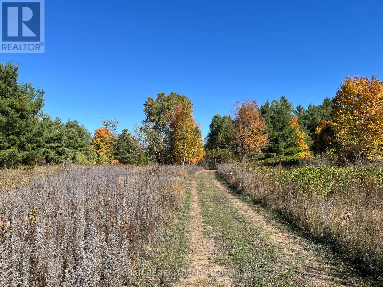 0 Minnie Road, Bonnechere Valley, Ontario  K0J 1T0 - Photo 16 - X12439559