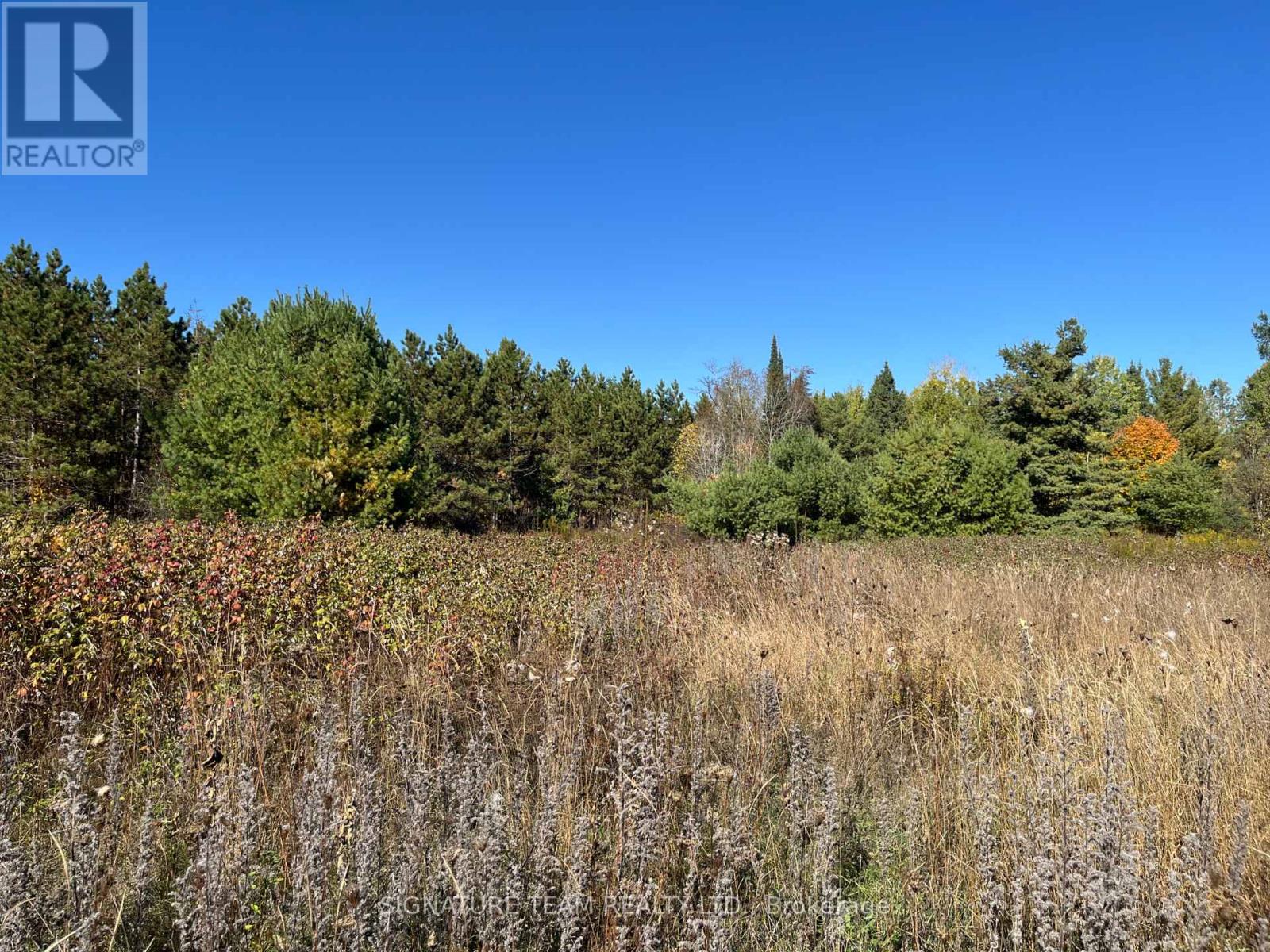 0 Minnie Road, Bonnechere Valley, Ontario  K0J 1T0 - Photo 17 - X12439559