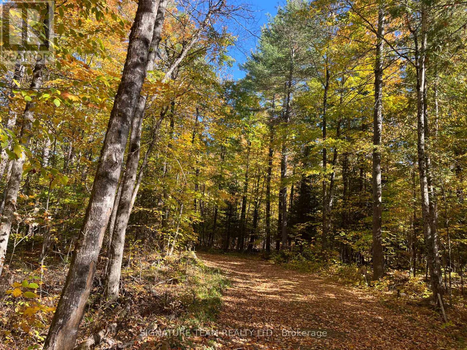 0 Minnie Road, Bonnechere Valley, Ontario  K0J 1T0 - Photo 18 - X12439559