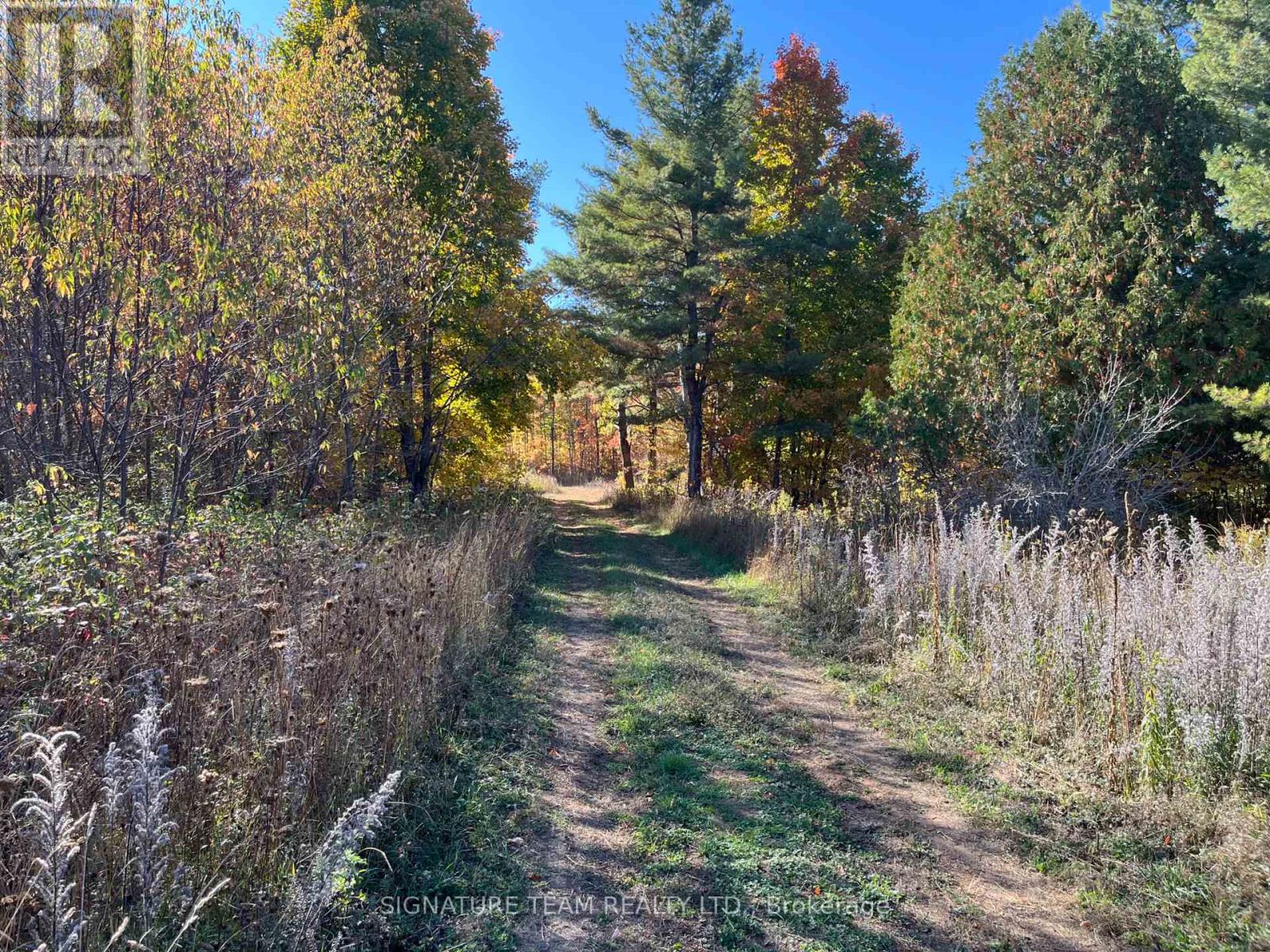 0 Minnie Road, Bonnechere Valley, Ontario  K0J 1T0 - Photo 19 - X12439559