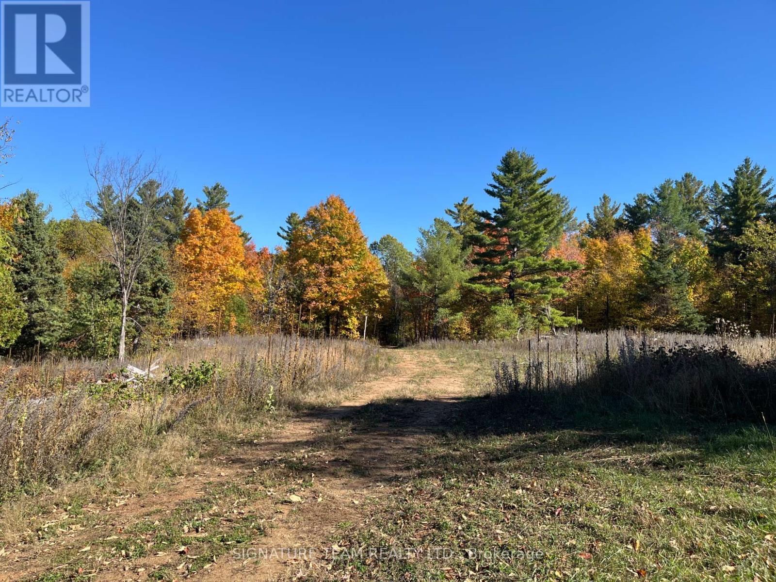 0 Minnie Road, Bonnechere Valley, Ontario  K0J 1T0 - Photo 20 - X12439559