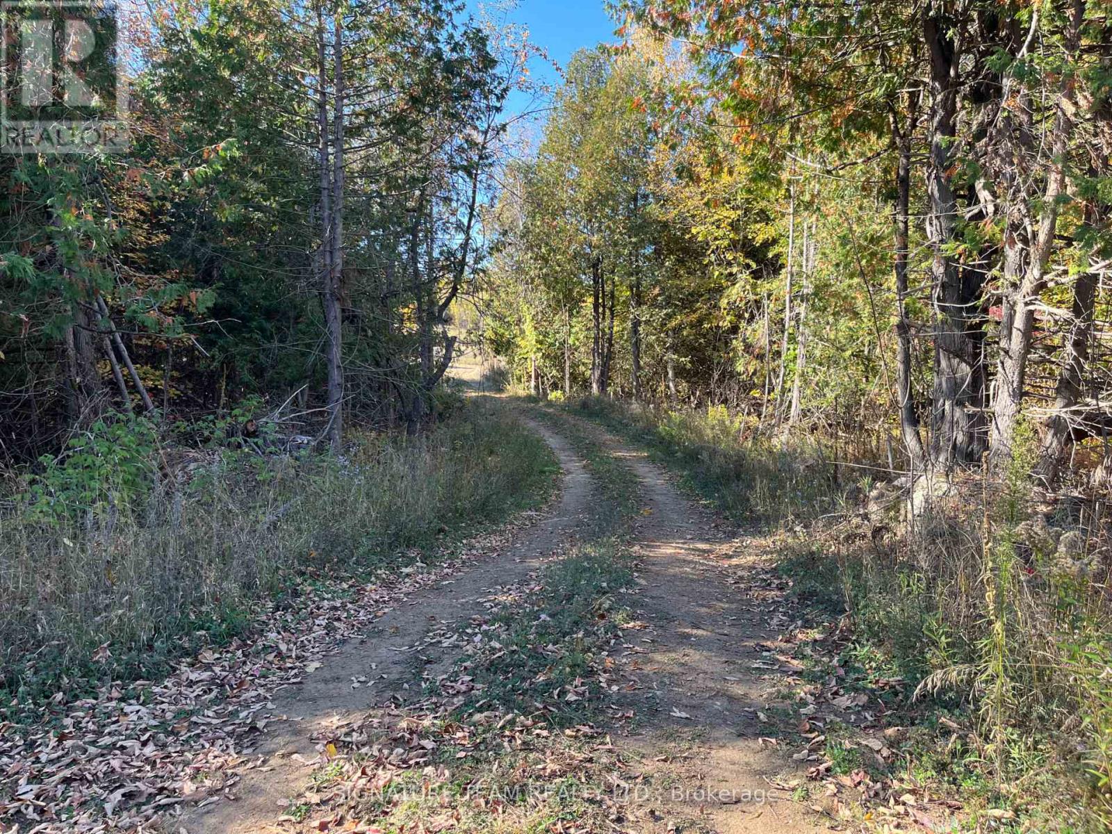 0 Minnie Road, Bonnechere Valley, Ontario  K0J 1T0 - Photo 21 - X12439559
