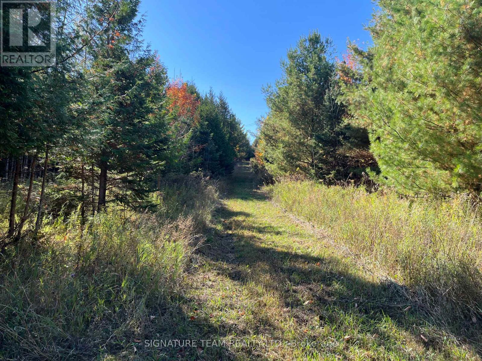 0 Minnie Road, Bonnechere Valley, Ontario  K0J 1T0 - Photo 24 - X12439559