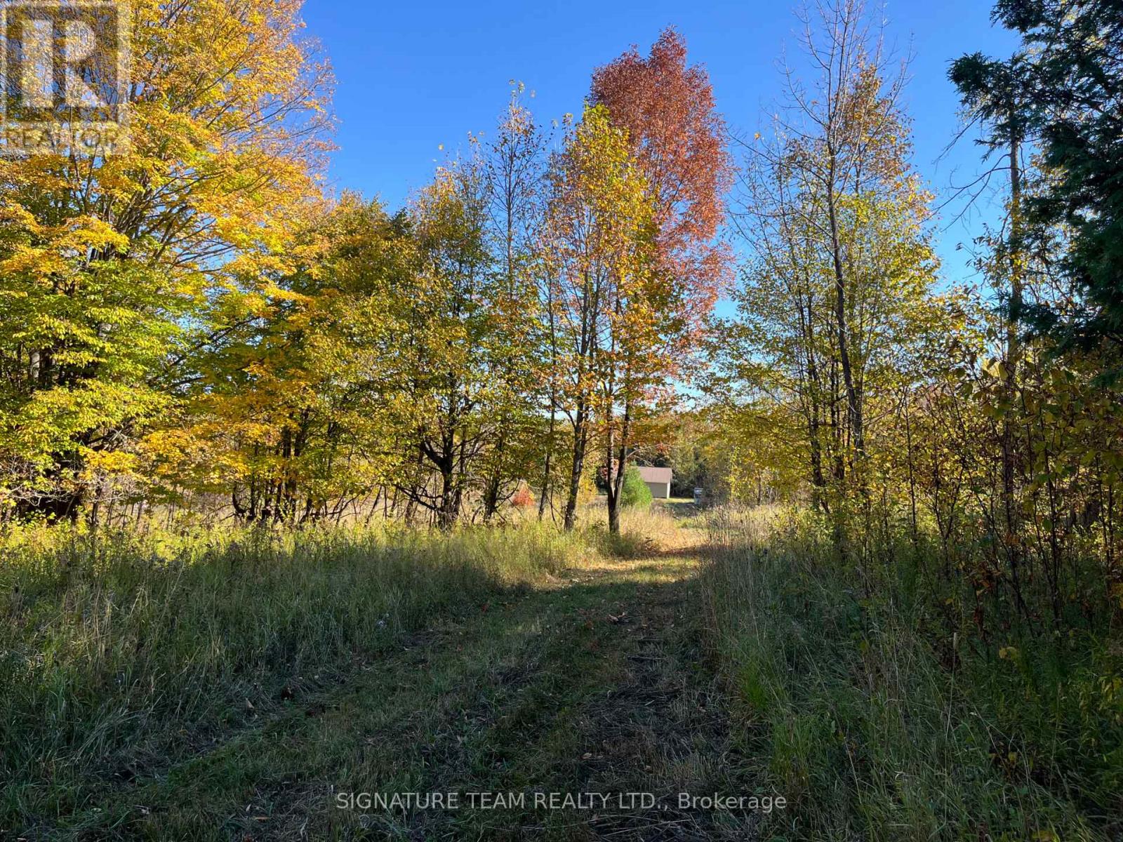 0 Minnie Road, Bonnechere Valley, Ontario  K0J 1T0 - Photo 25 - X12439559