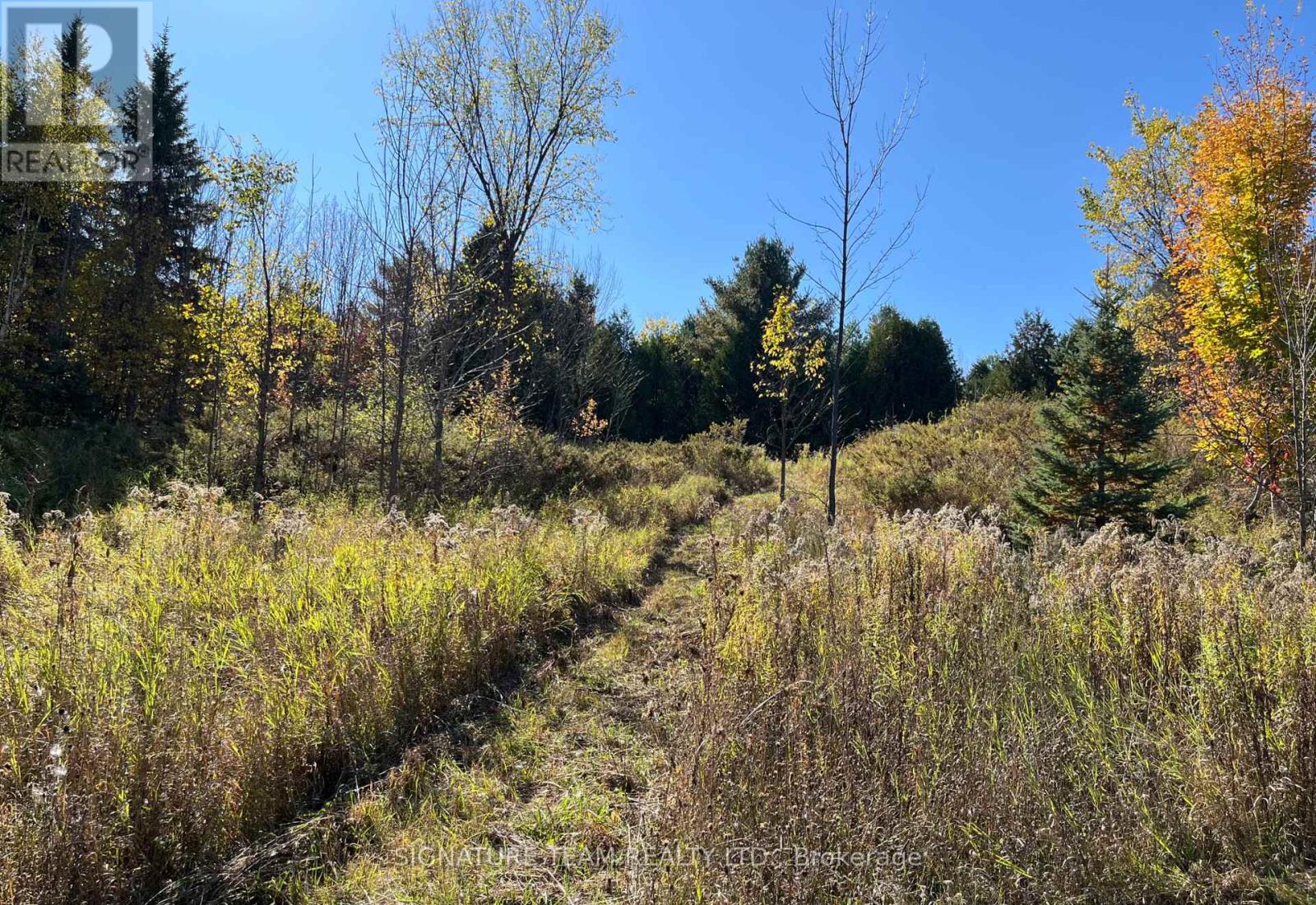 0 Minnie Road, Bonnechere Valley, Ontario  K0J 1T0 - Photo 28 - X12439559