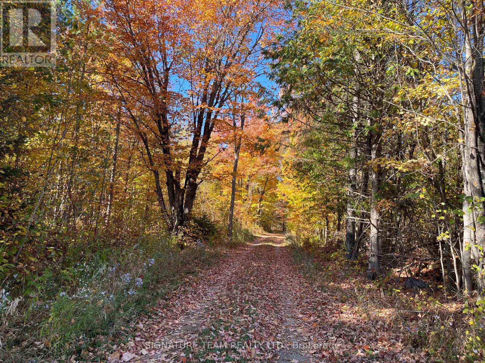 0 Minnie Road, Bonnechere Valley, Ontario  K0J 1T0 - Photo 3 - X12439559