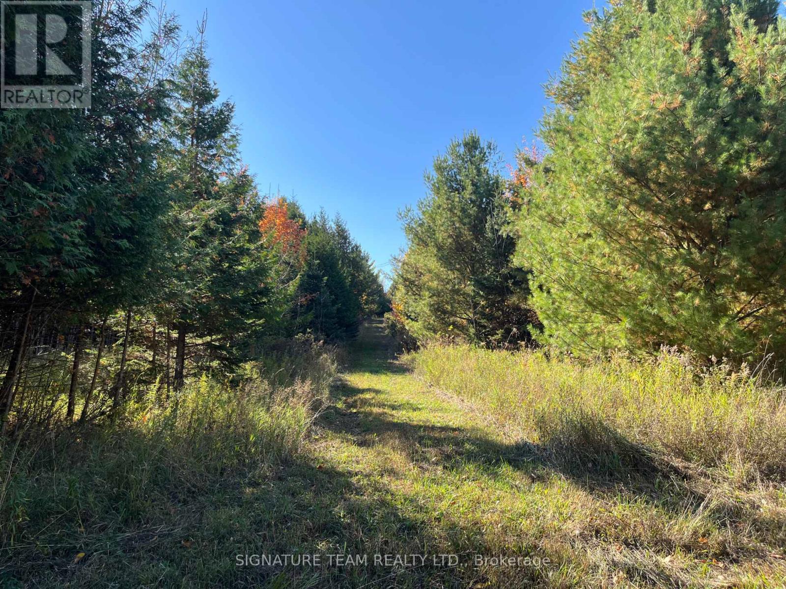 0 Minnie Road, Bonnechere Valley, Ontario  K0J 1T0 - Photo 33 - X12439559