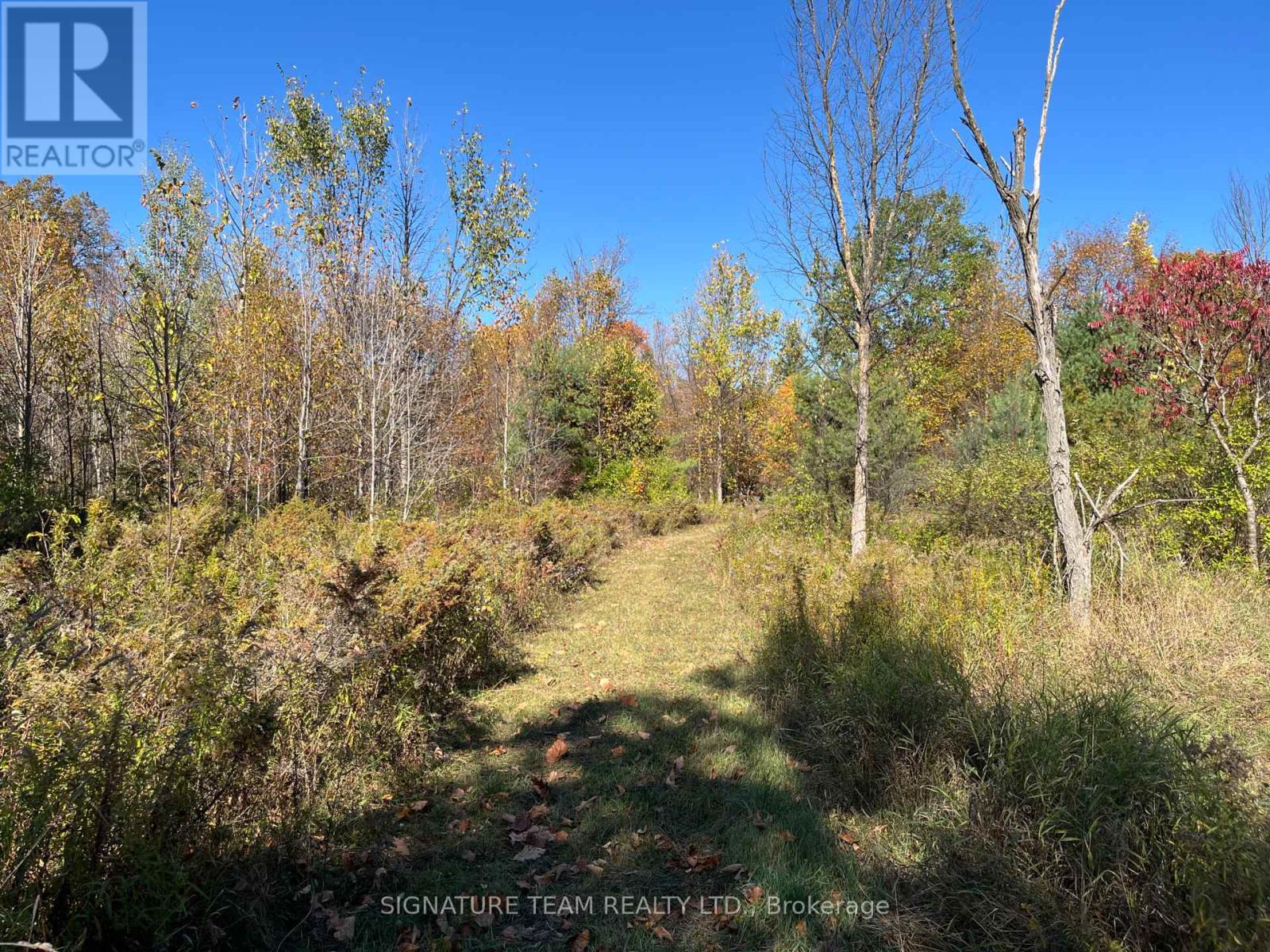 0 Minnie Road, Bonnechere Valley, Ontario  K0J 1T0 - Photo 34 - X12439559