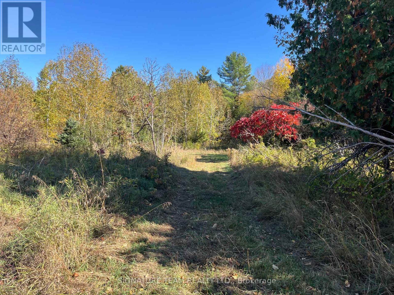 0 Minnie Road, Bonnechere Valley, Ontario  K0J 1T0 - Photo 35 - X12439559