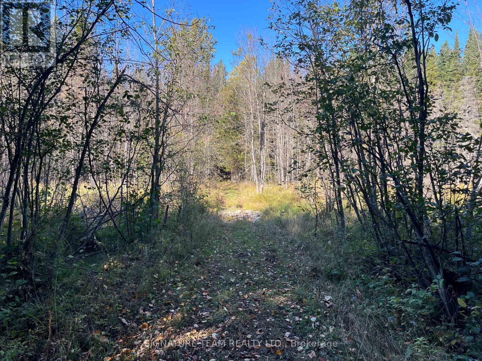 0 Minnie Road, Bonnechere Valley, Ontario  K0J 1T0 - Photo 36 - X12439559