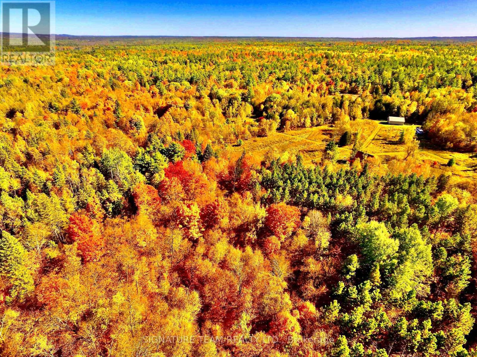 0 Minnie Road, Bonnechere Valley, Ontario  K0J 1T0 - Photo 39 - X12439559