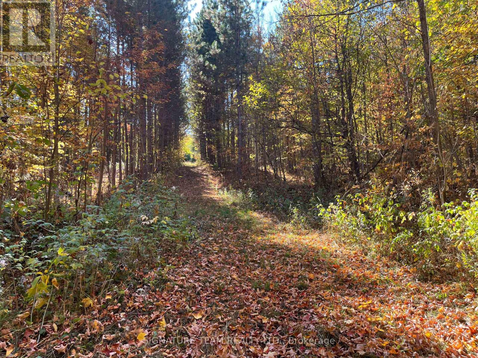0 Minnie Road, Bonnechere Valley, Ontario  K0J 1T0 - Photo 4 - X12439559