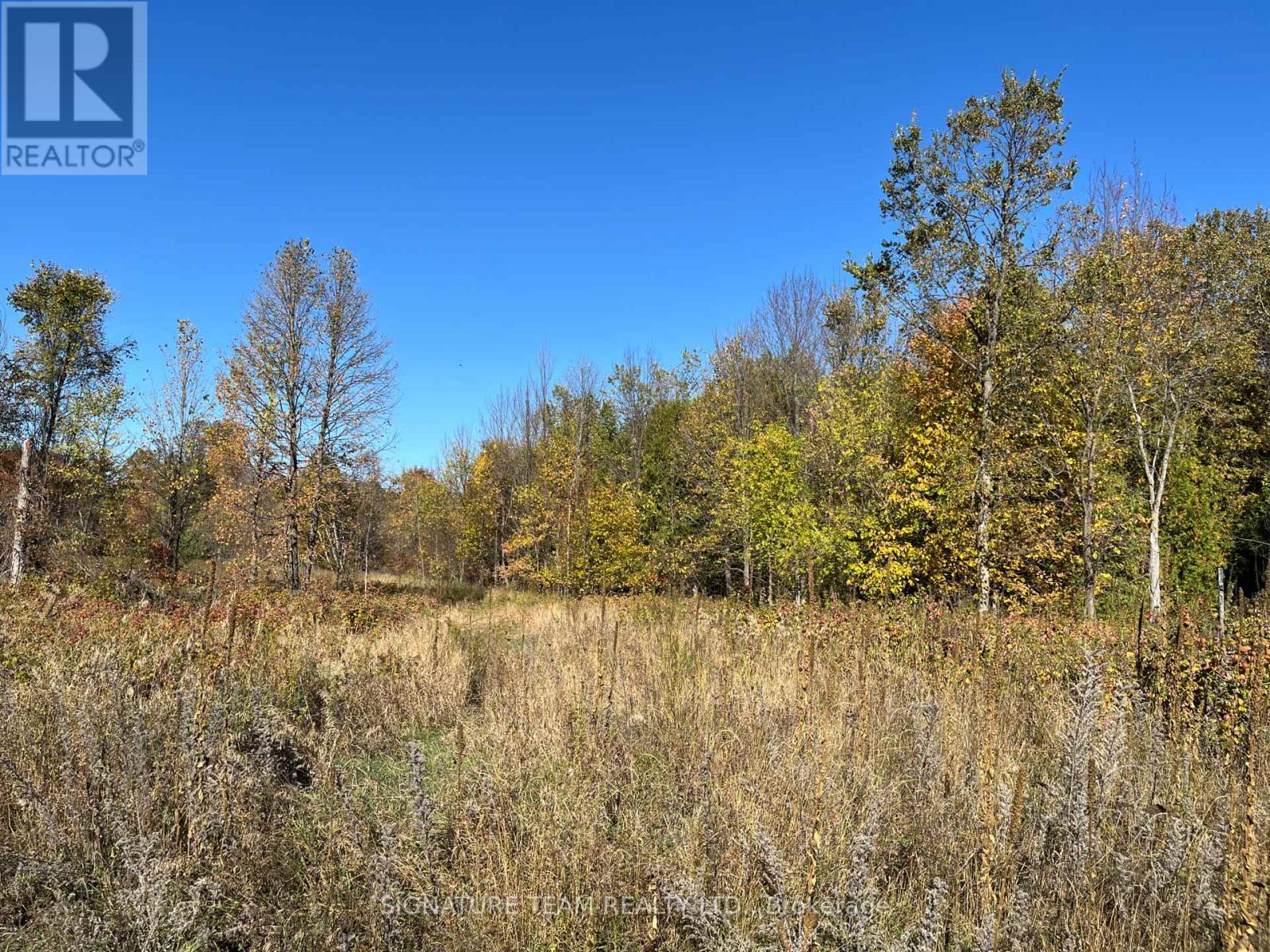 0 Minnie Road, Bonnechere Valley, Ontario  K0J 1T0 - Photo 5 - X12439559