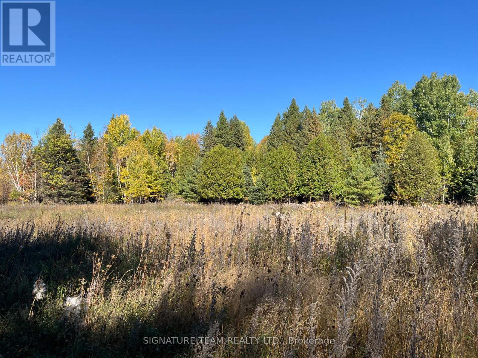 0 Minnie Road, Bonnechere Valley, Ontario  K0J 1T0 - Photo 6 - X12439559