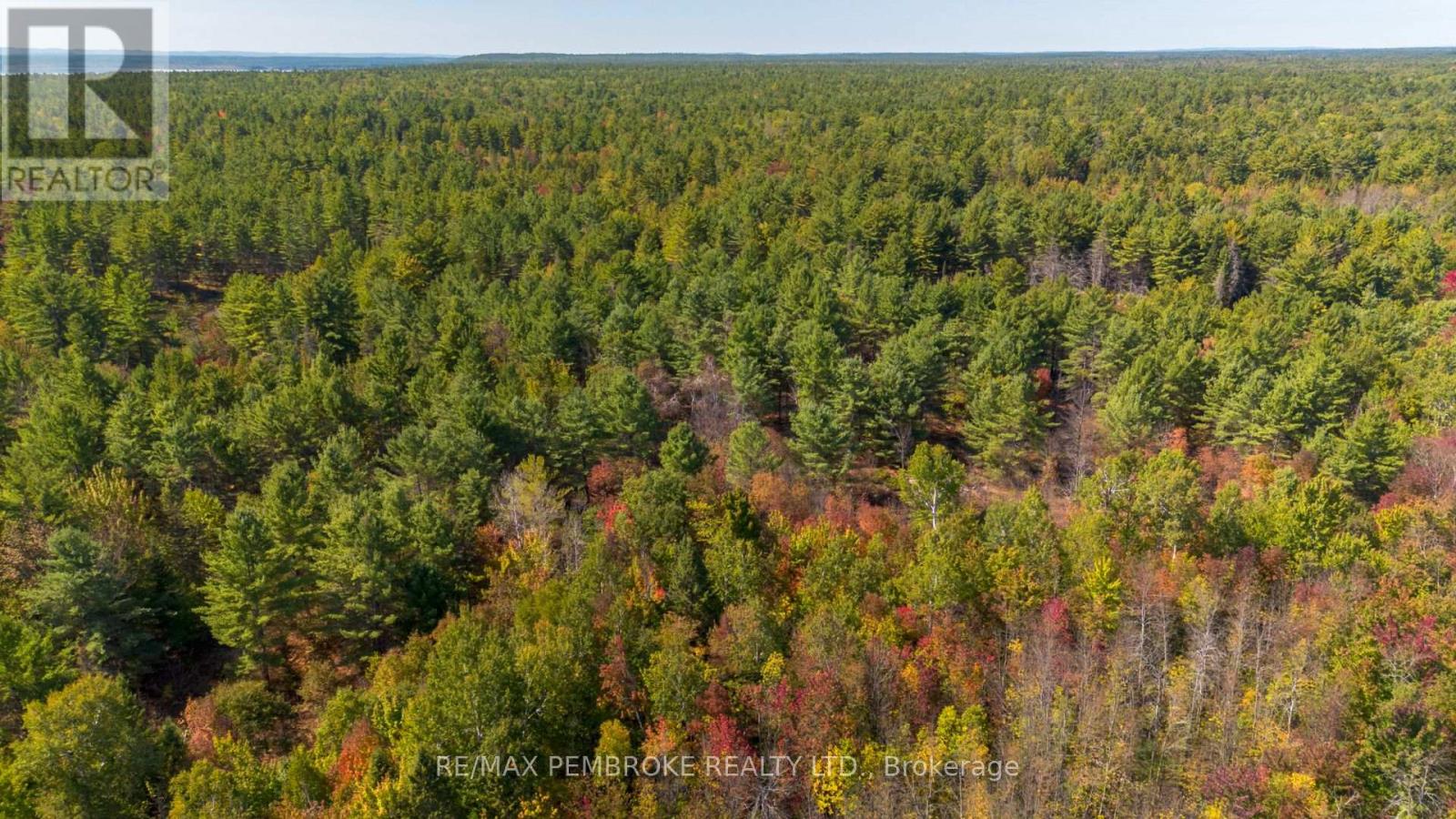 00 Mountain Road, North Algona Wilberforce, Ontario K8A 6W4 - Photo 11 - X12439614