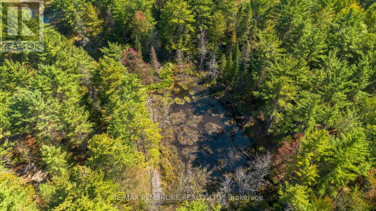 00 Mountain Road, North Algona Wilberforce, Ontario K8A 6W4 - Photo 7 - X12439614