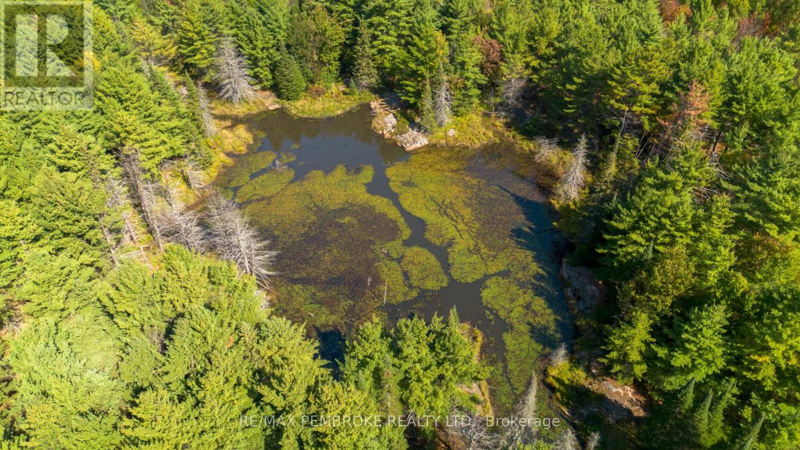 00 Mountain Road, North Algona Wilberforce, Ontario K8A 6W4 - Photo 9 - X12439614