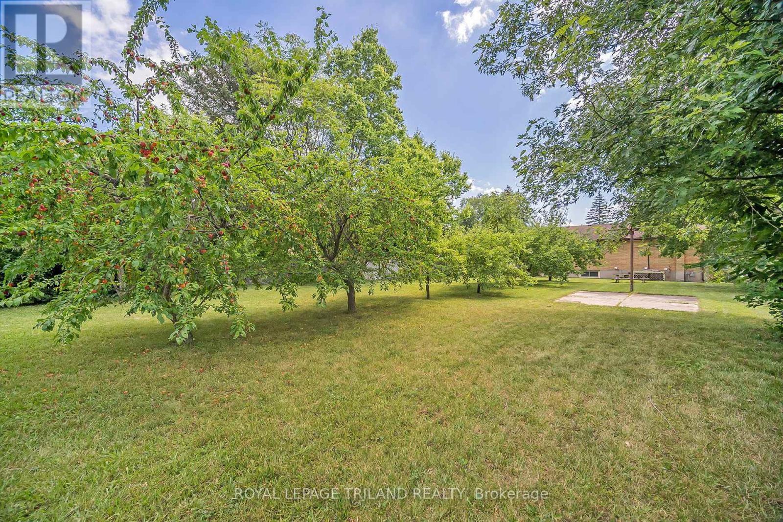 1210 Hamilton Road, London East, Ontario  N5W 1A9 - Photo 35 - X12437283