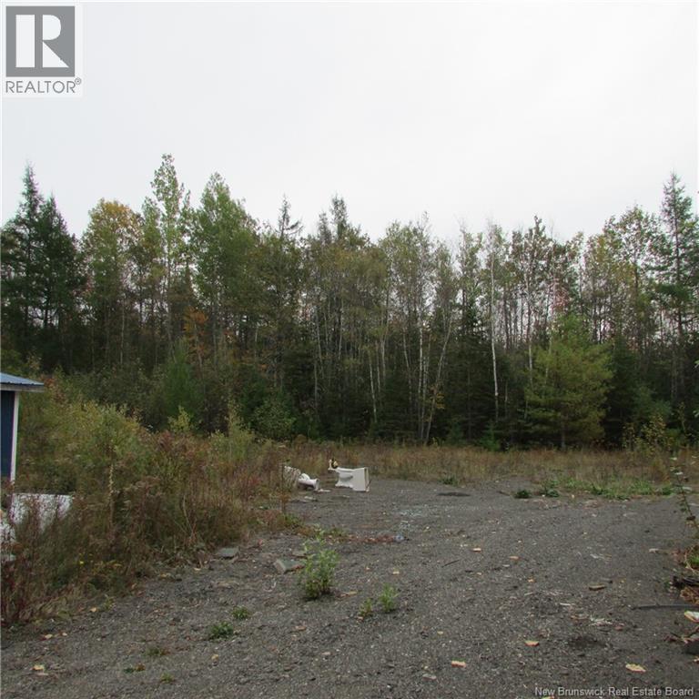3029 Route 3, York Mills, New Brunswick  E6K 1T9 - Photo 20 - NB127303